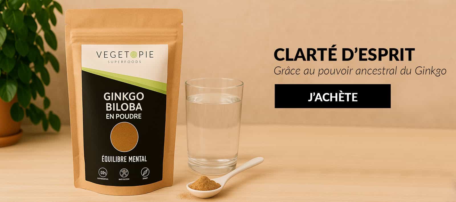 ginkgo biloba en poudre